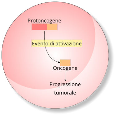 Attivazione di un proto-oncogene
